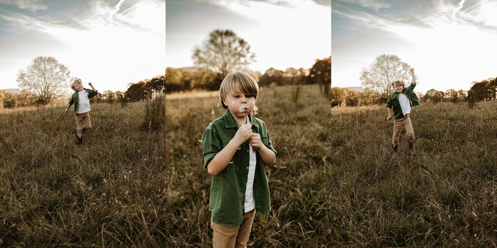 little boy blowing a dandylion flower